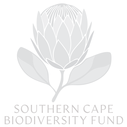SCBF-Logo